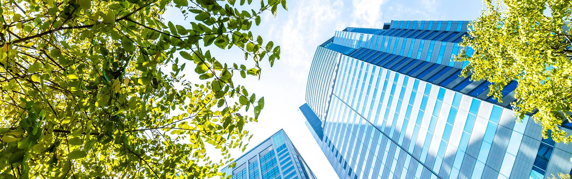 ​ ドン・キホーテ創業者　安田隆夫氏の運について、第三のポイント   ​